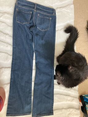 Ann Taylor Men's Dark Blue Straight Jeans